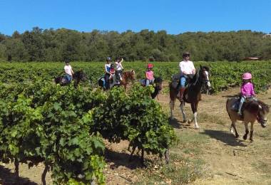 Ballade à cheval dans les monts du Vaucluse Ballade à cheval dans les monts du Vaucluse