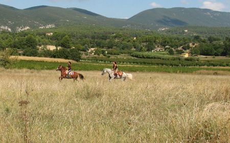 Ballade à cheval dans le Luberon Ballade à cheval dans le Luberon
